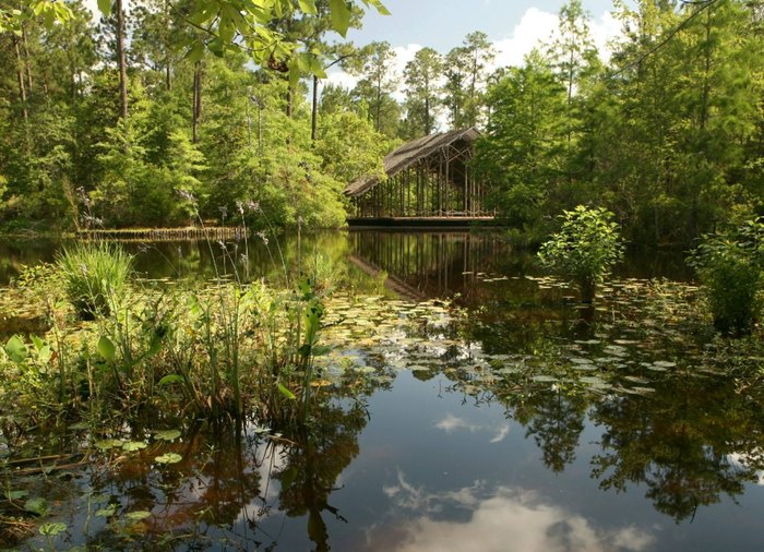 Piney Lake