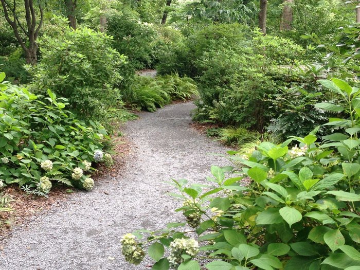 Trail Walk