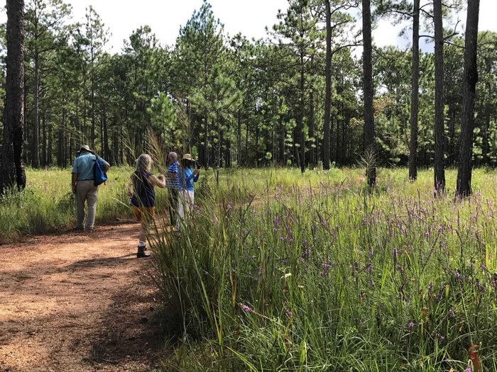 Nature Trail